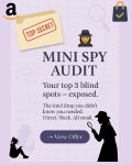Mini Spy Audit for Amazon Supplement Brands — Email-Only Q4 Market Snapshot